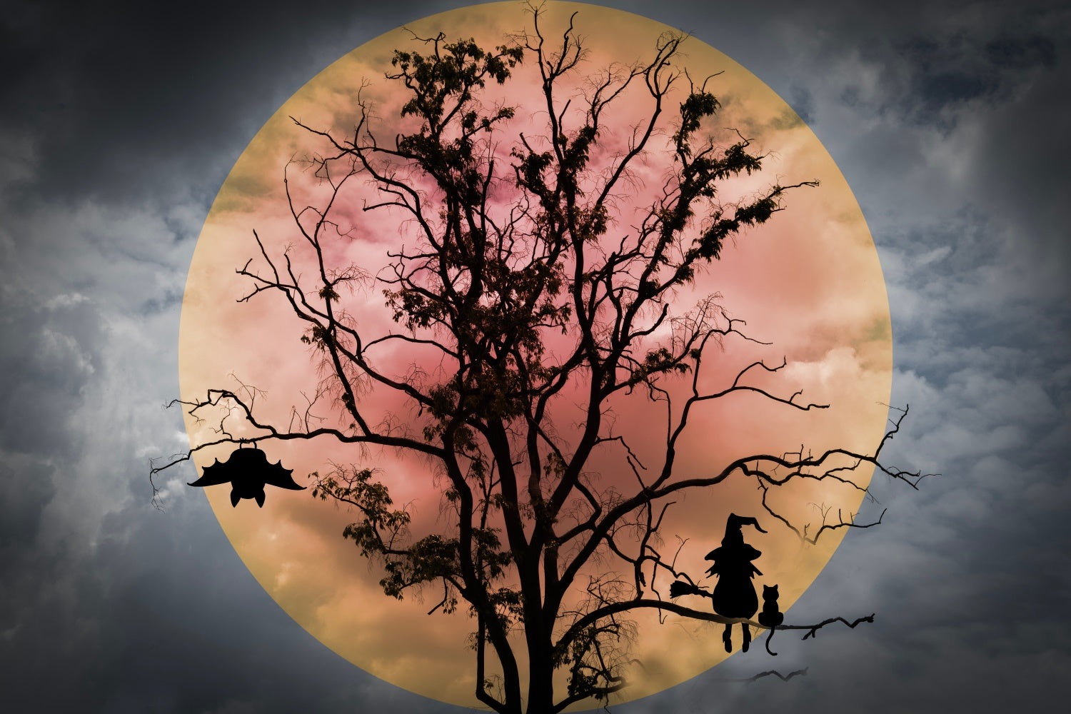 Halloween Witch and Bats Red Moon Backdrop UK BRP8-275