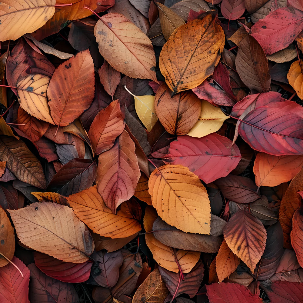 Deep Red and Orange Leaves Fall Floor Backdrop UK BRP8-286