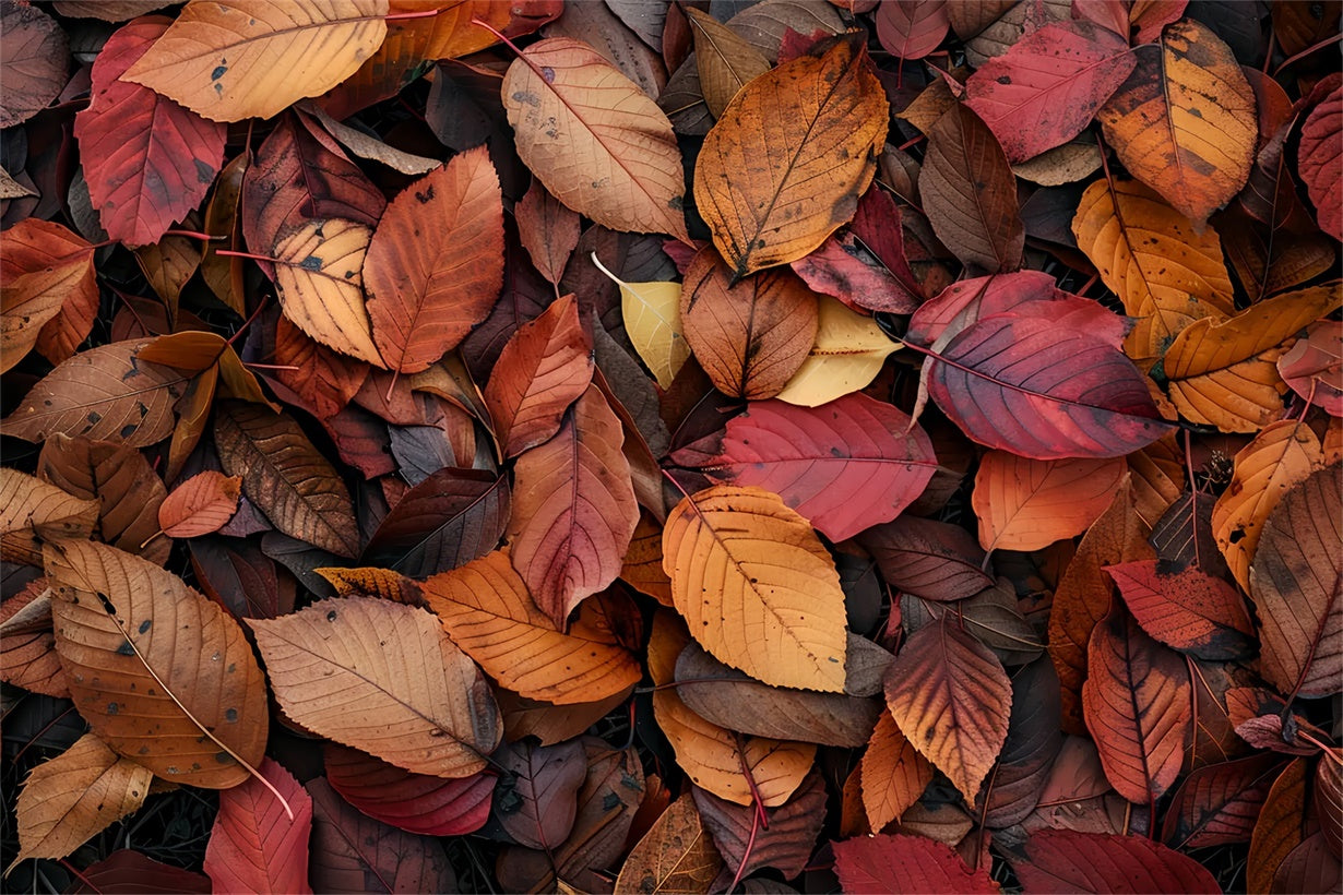 Deep Red and Orange Leaves Fall Floor Backdrop UK BRP8-286