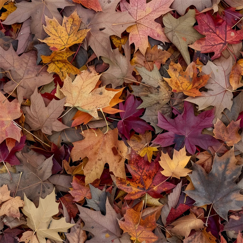 Golden Maple Leaves Scattered Over Floor Backdrop UK BRP8-287