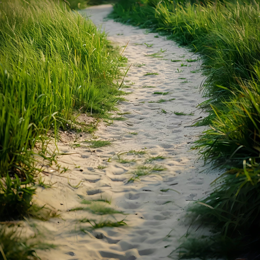 Grass and Sandy Country Trail Floor Backdrop UK BRP8-292