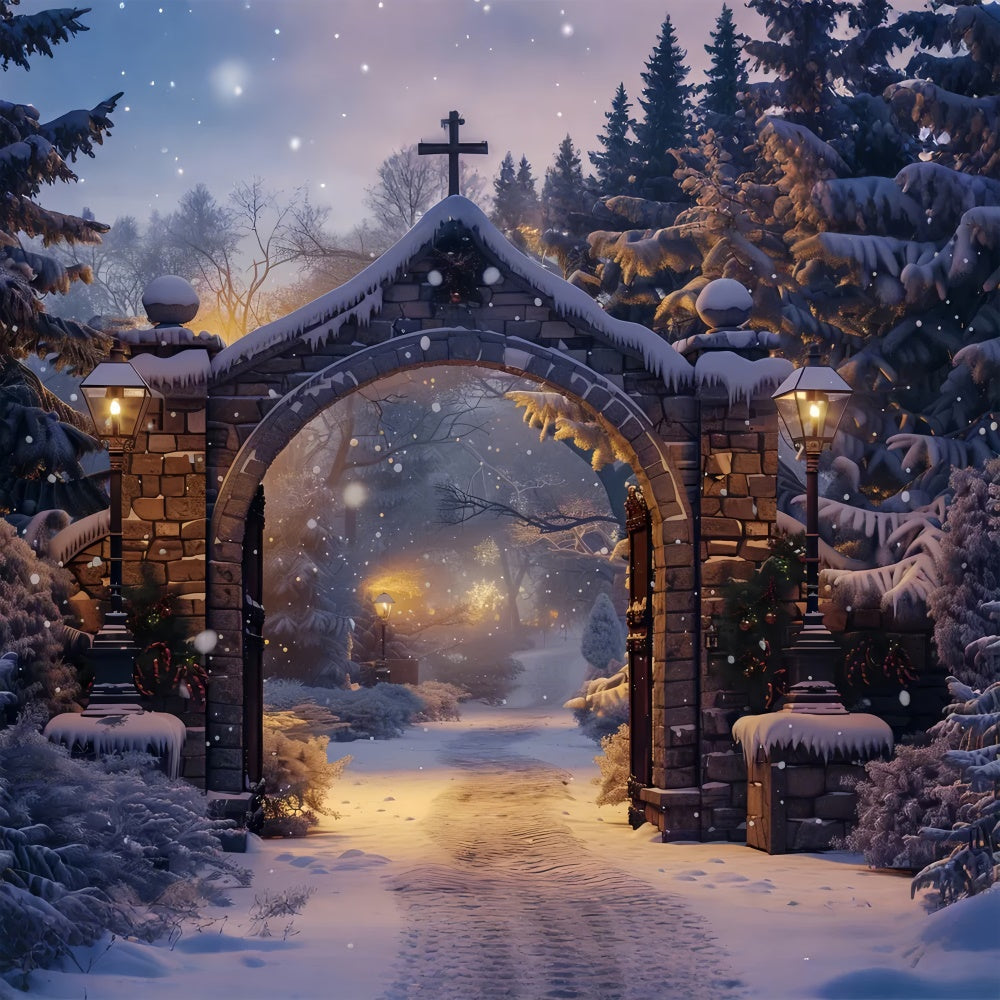 Christmas Serene Snowy Path Arch Backdrop UK BRP8-61