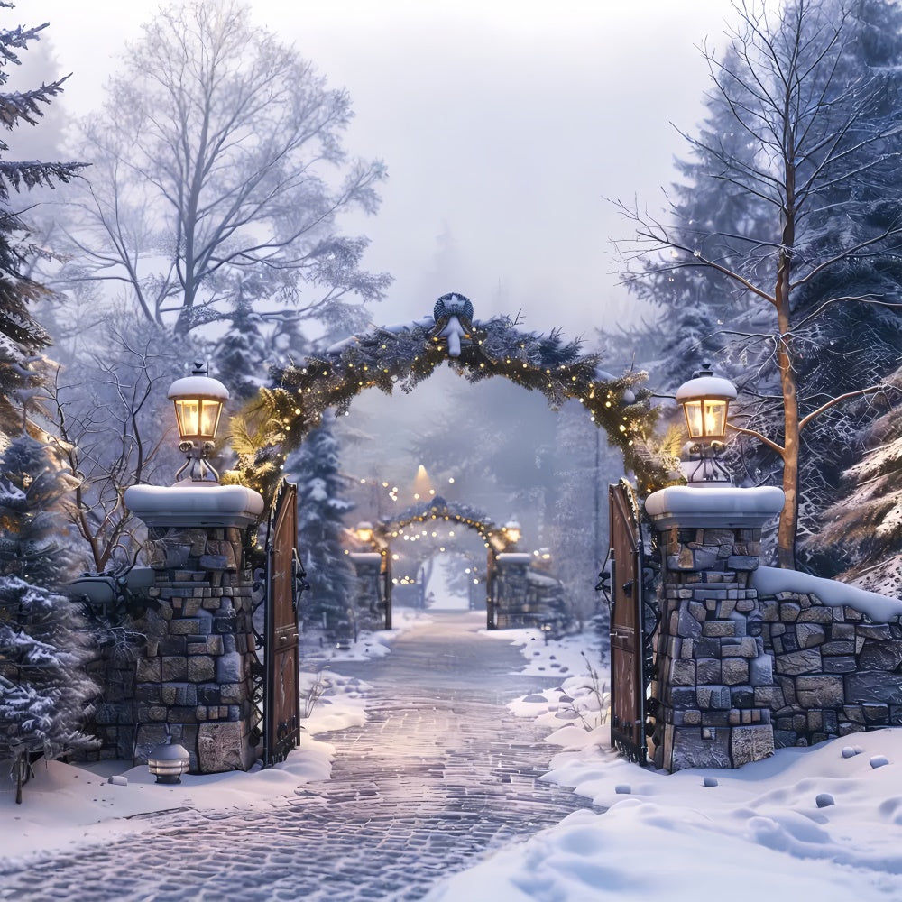 Christmas Winter Night Stone Arch Pathway Backdrop UK BRP8-62