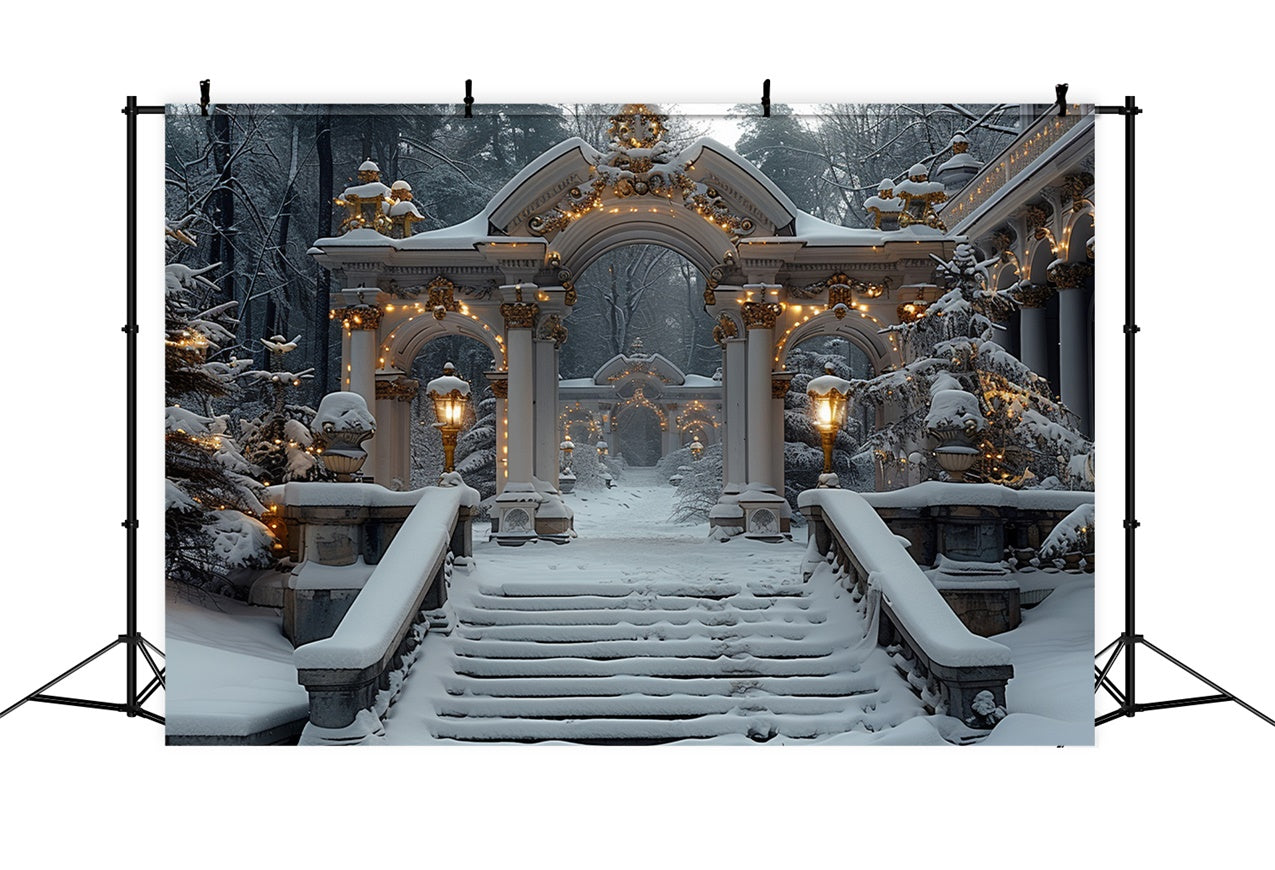 Winter Wonderland Arches with Christmas Lights Backdrop UK BRP9-113