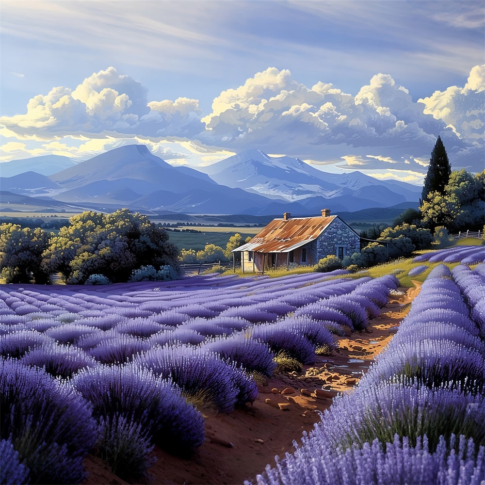 Purple Lavender Fields Surrounding Rustic Farmhouse Backdrop UK BRP9-154