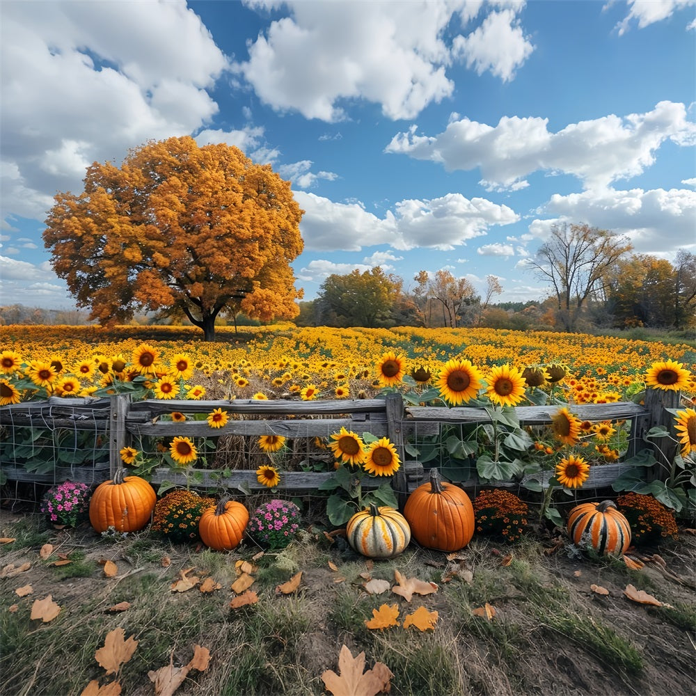 Autumn Sunflower Field Large Tree Pumpkins Backdrop UK BRP9-186