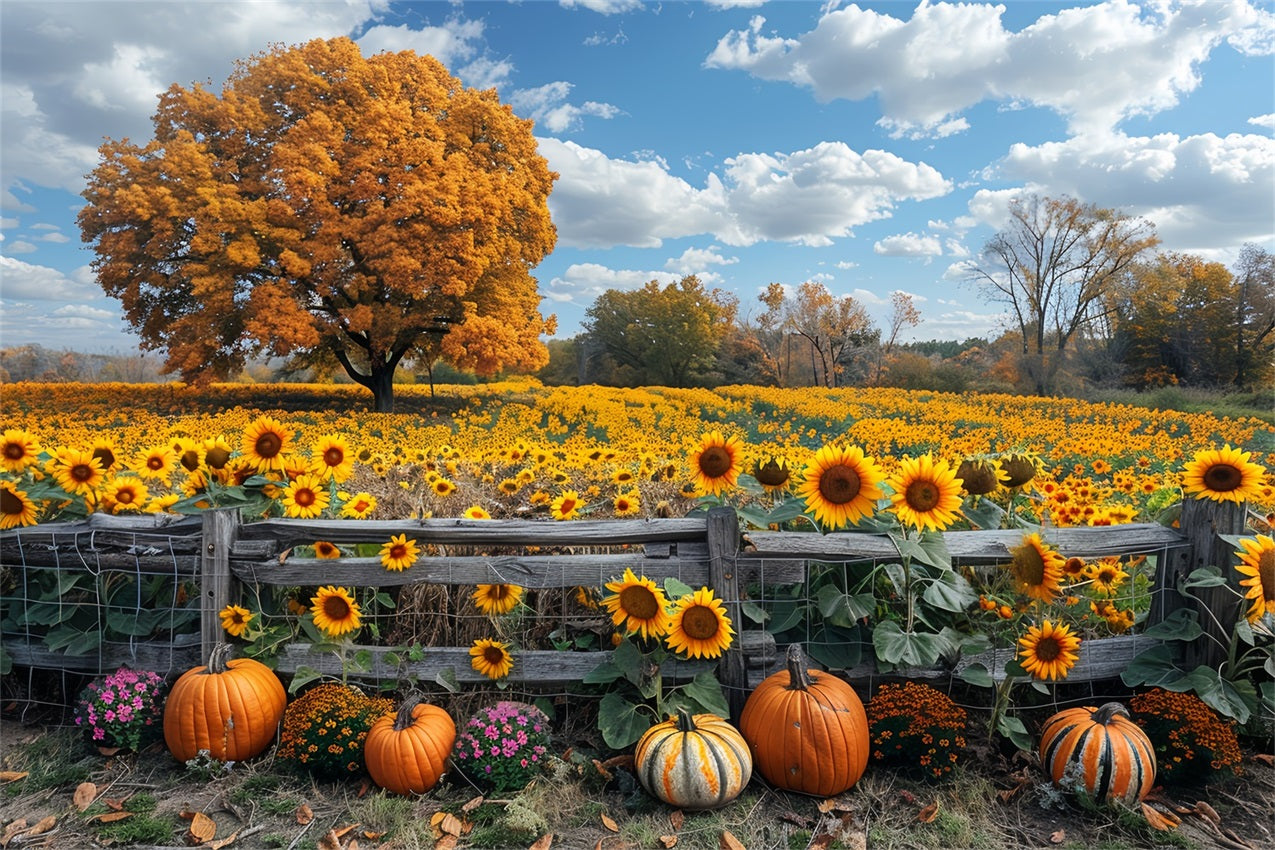 Autumn Sunflower Field Large Tree Pumpkins Backdrop UK BRP9-186