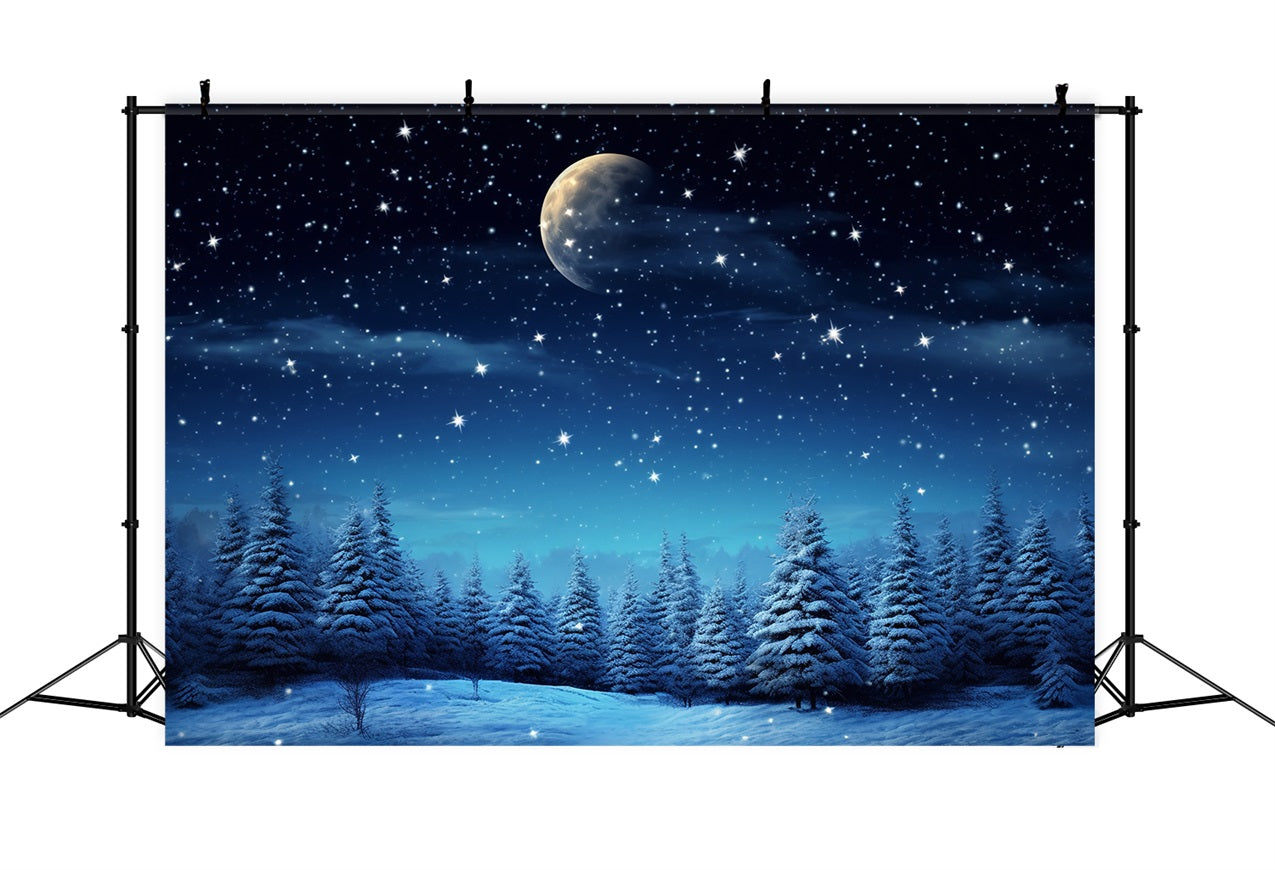 Starry Night Winter Wonderland Photography Backdrop UK BRP9-211