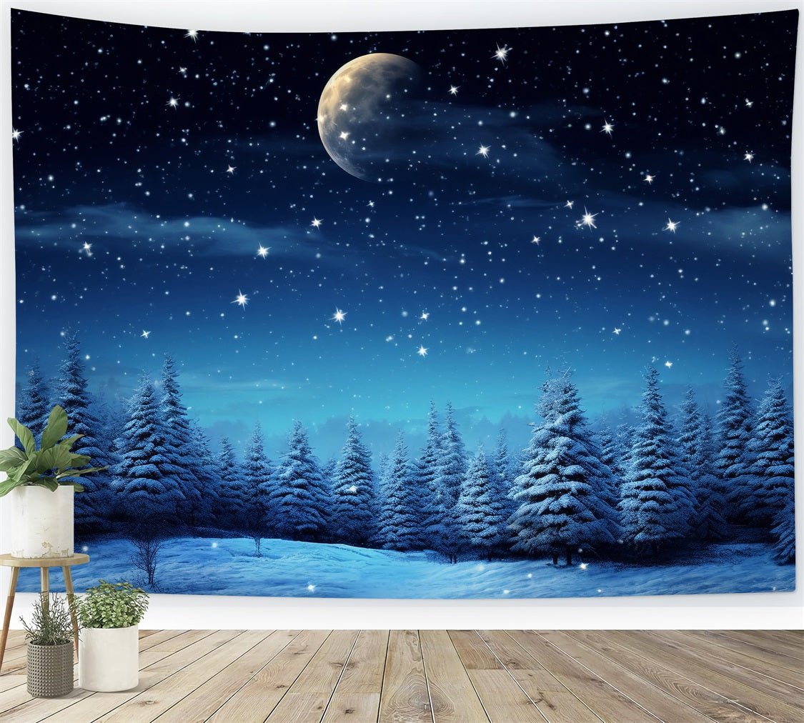 Starry Night Winter Wonderland Photography Backdrop UK BRP9-211