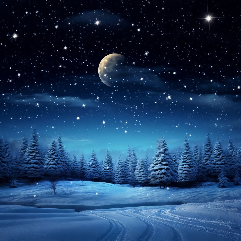 Starry Night Winter Wonderland Photography Backdrop UK BRP9-211