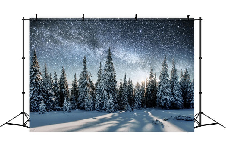 Milky Way Over Winter Snowy Forest Backdrop UK BRP9-213