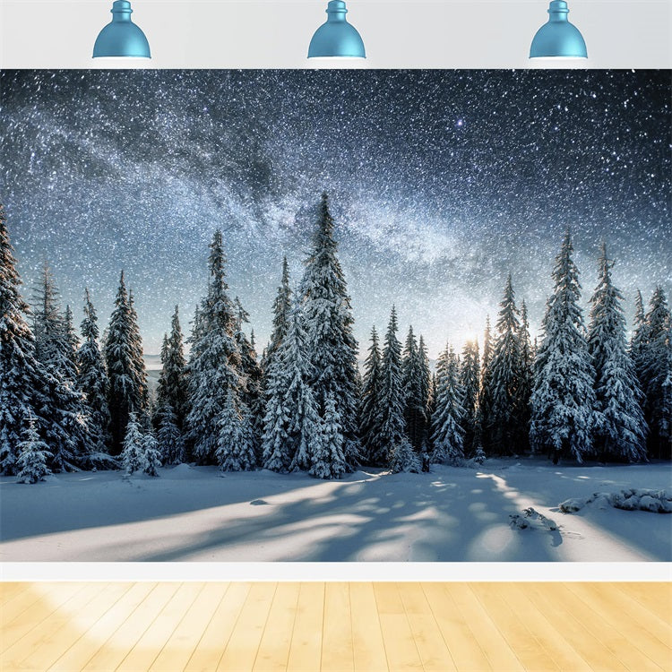 Milky Way Over Winter Snowy Forest Backdrop UK BRP9-213