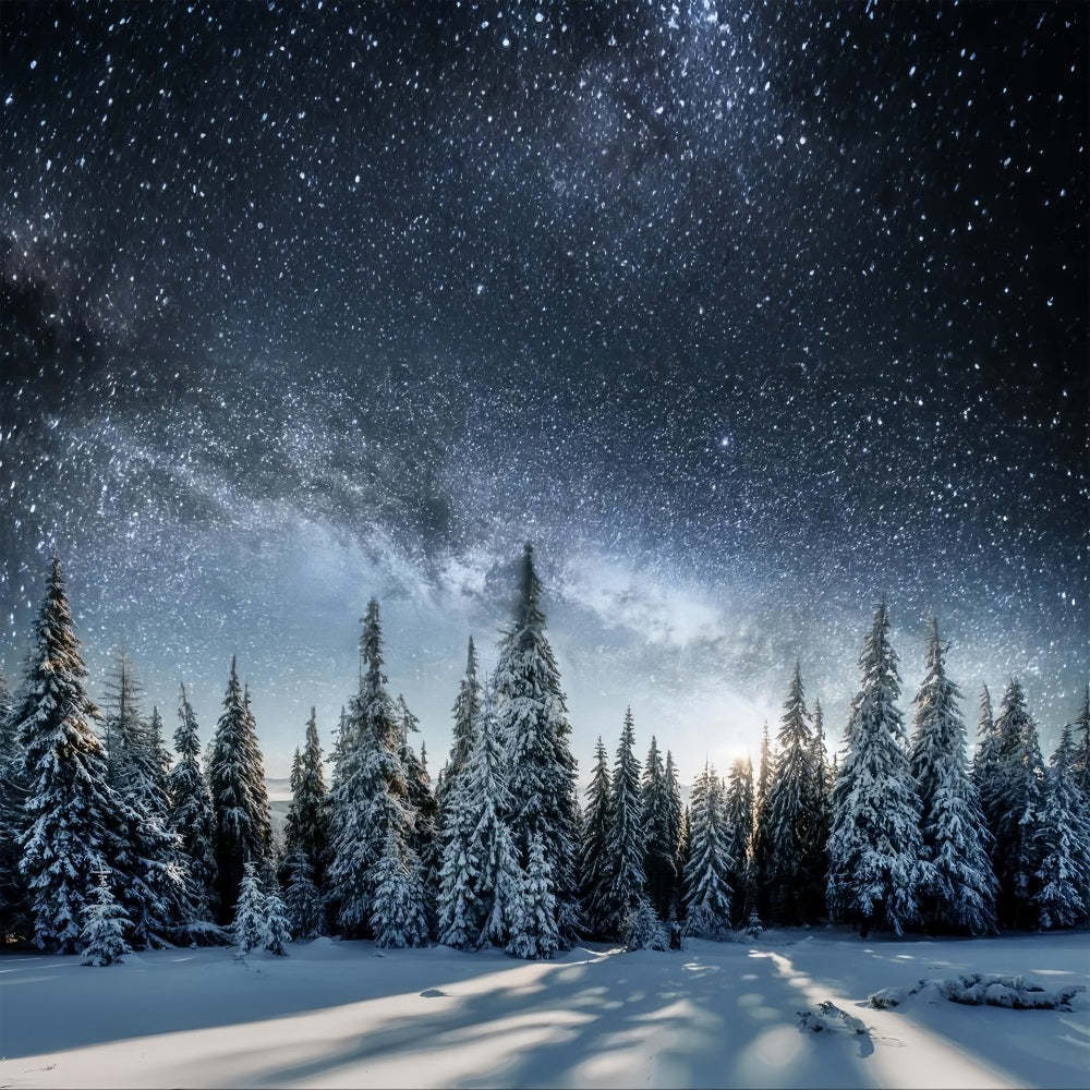 Milky Way Over Winter Snowy Forest Backdrop UK BRP9-213