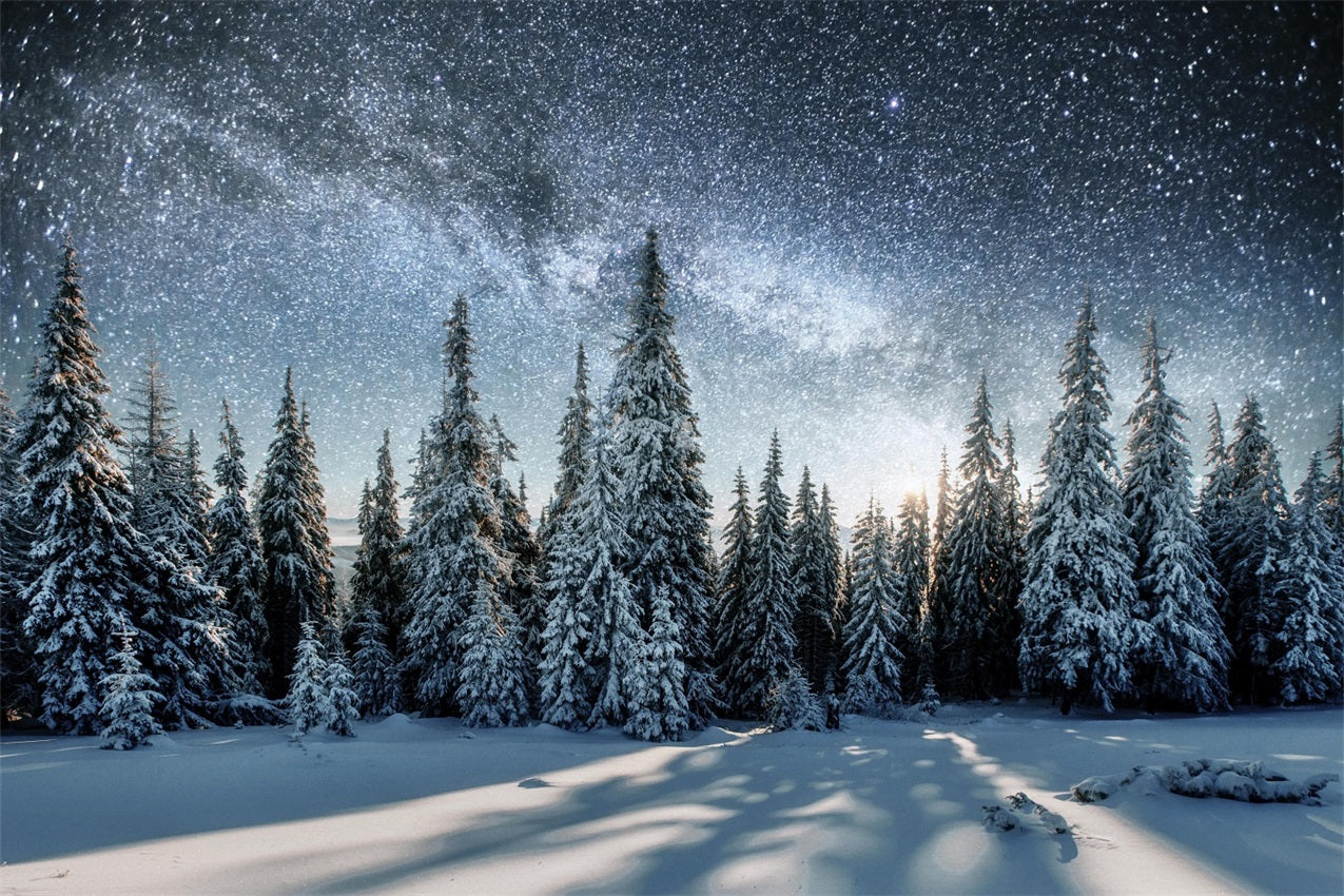 Milky Way Over Winter Snowy Forest Backdrop UK BRP9-213