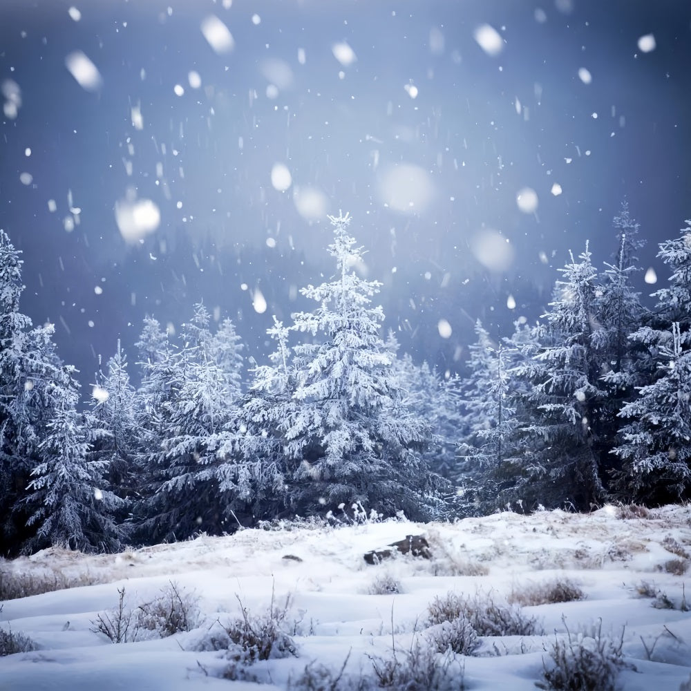 Winter Night Snowfall Moonlit Starry Backdrop UK BRP9-214