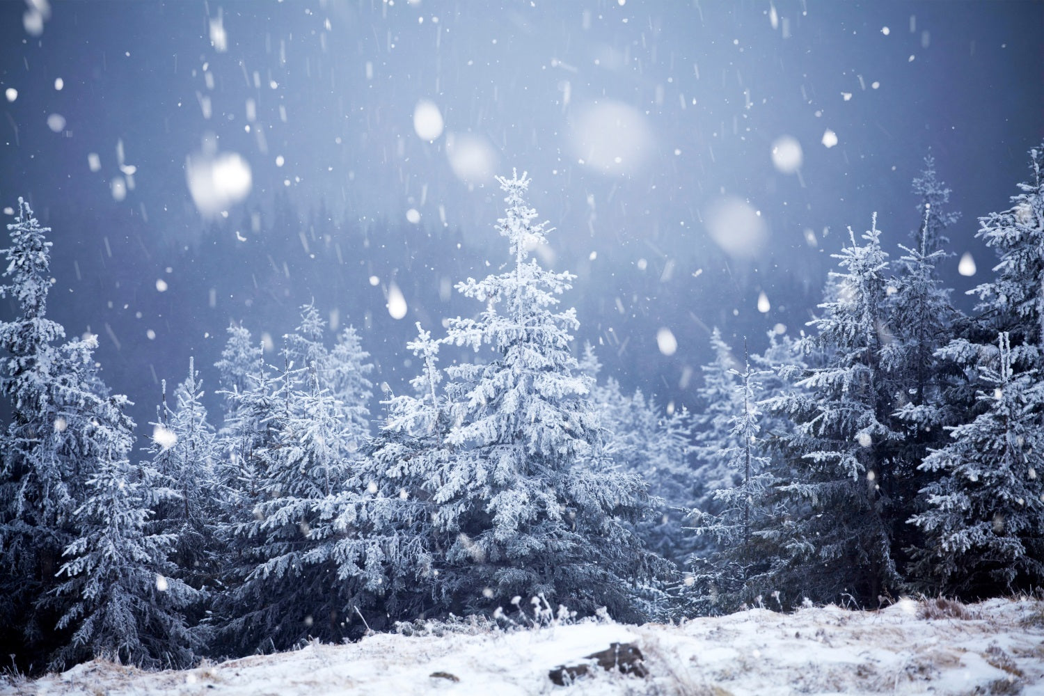 Winter Night Snowfall Moonlit Starry Backdrop UK BRP9-214