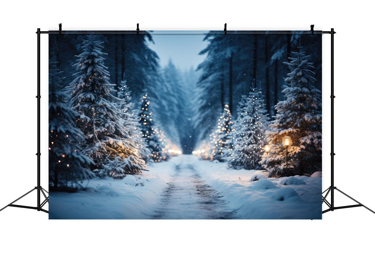 Winter Wonderland Trail Through Snowy Pines Backdrop UK BRP9-215