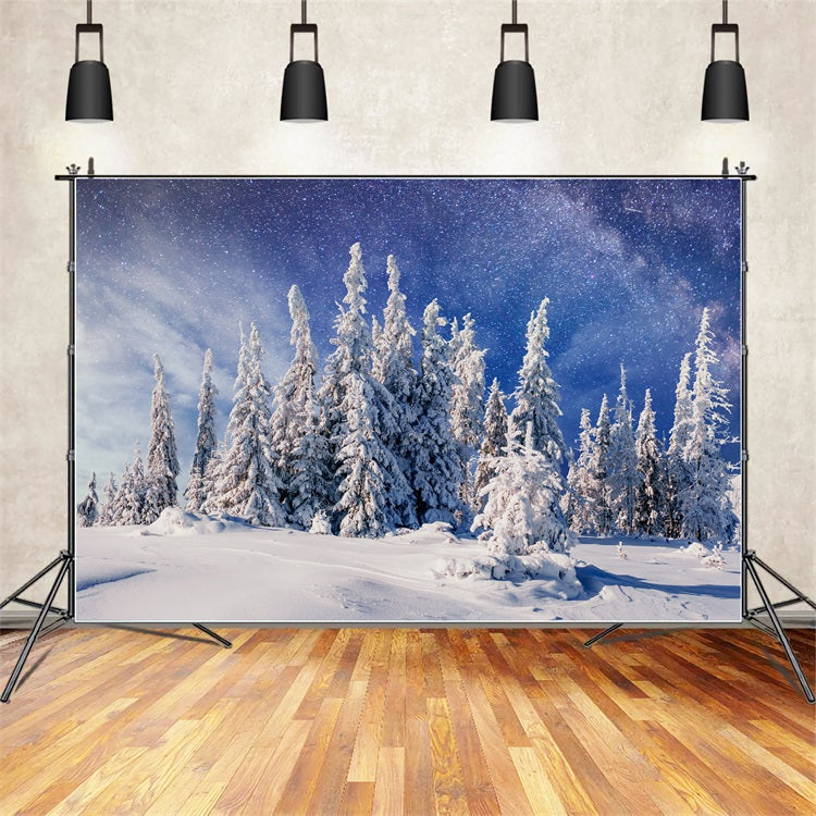 Winter Snowy Pines Beneath Milky Way Backdrop UK BRP9-216