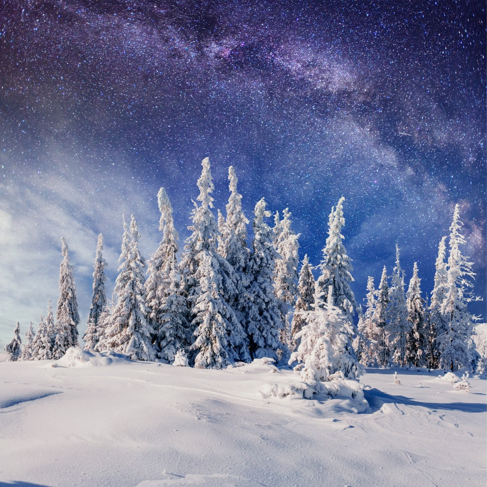 Winter Snowy Pines Beneath Milky Way Backdrop UK BRP9-216