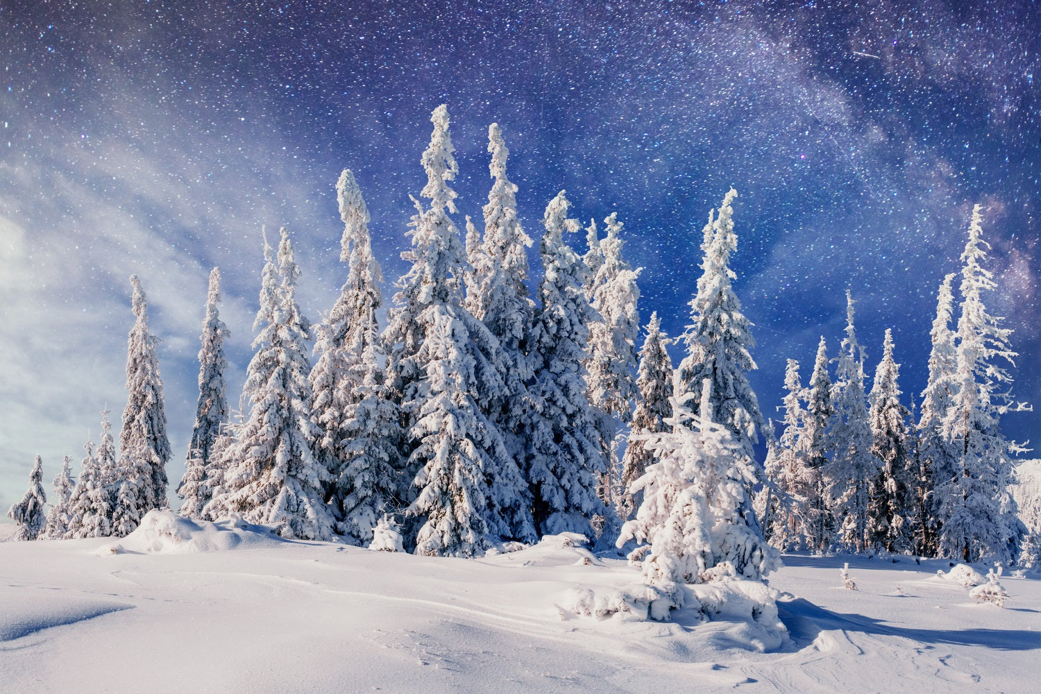 Winter Snowy Pines Beneath Milky Way Backdrop UK BRP9-216