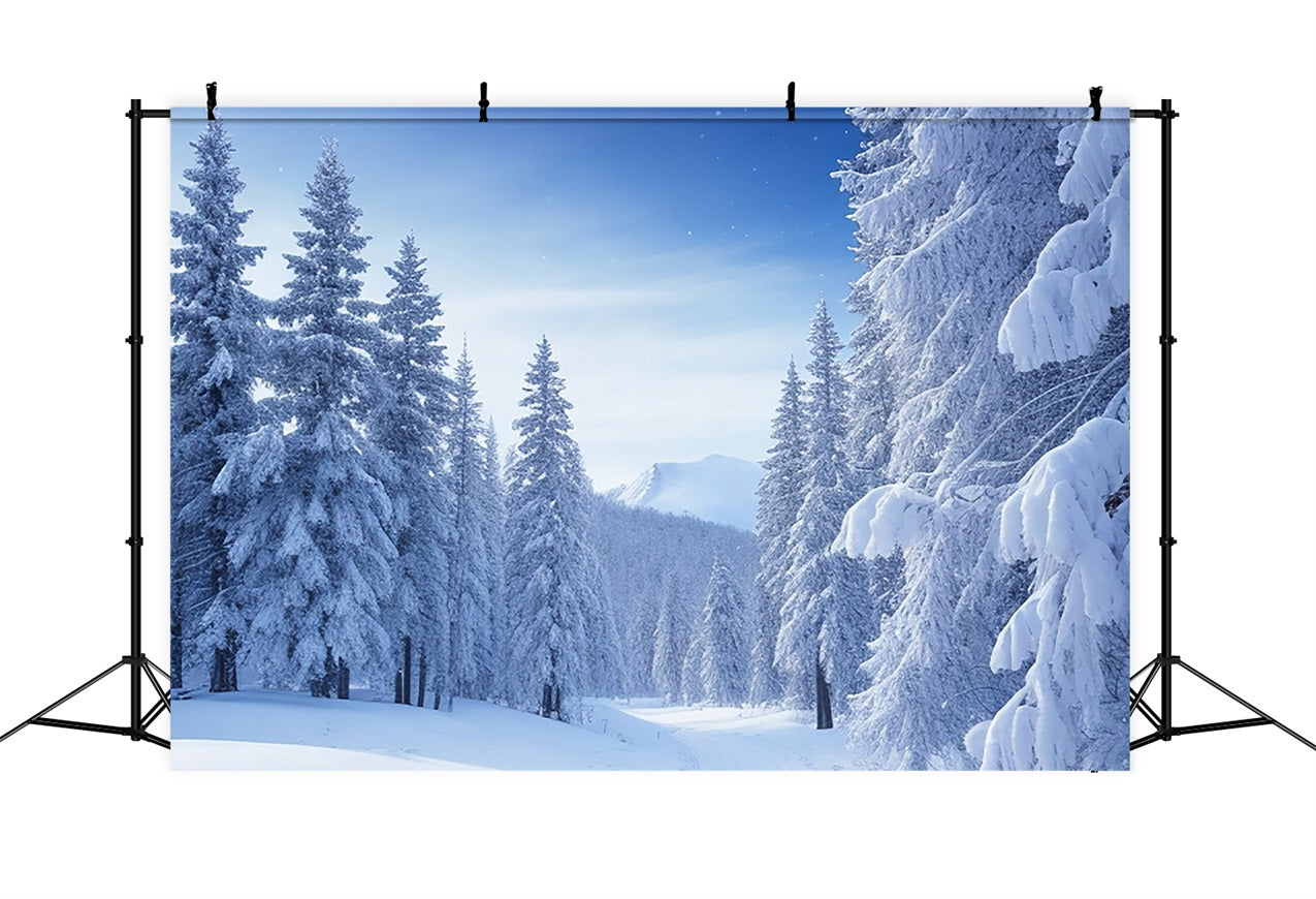 Serene Snowy Pine Tree Landscape Winter Backdrop UK BRP9-217