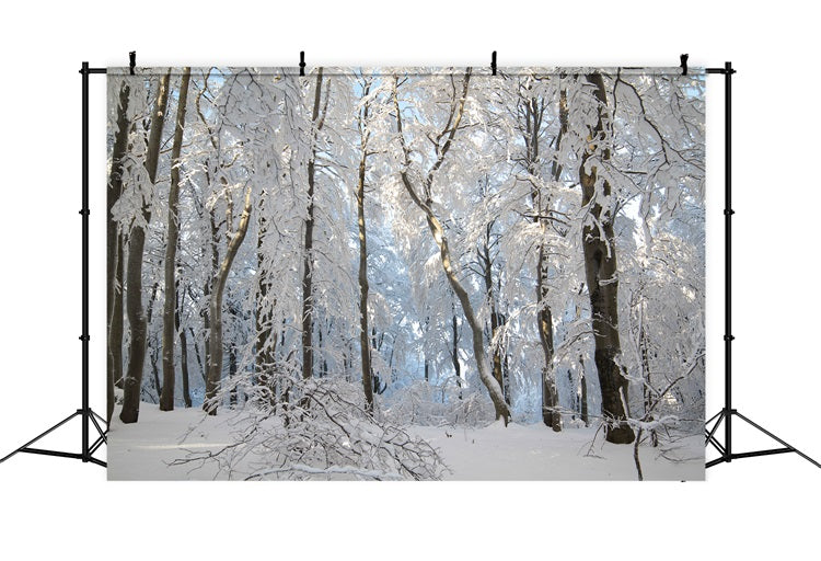 Winter Snowy Forest Wonderland Photography Backdrop UK BRP9-220