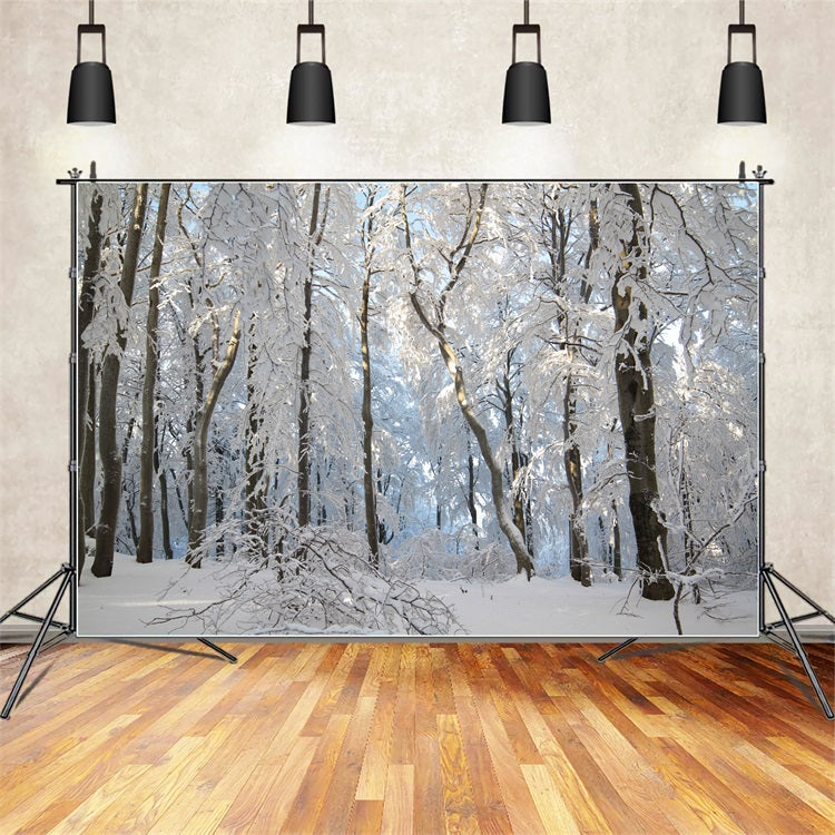 Winter Snowy Forest Wonderland Photography Backdrop UK BRP9-220