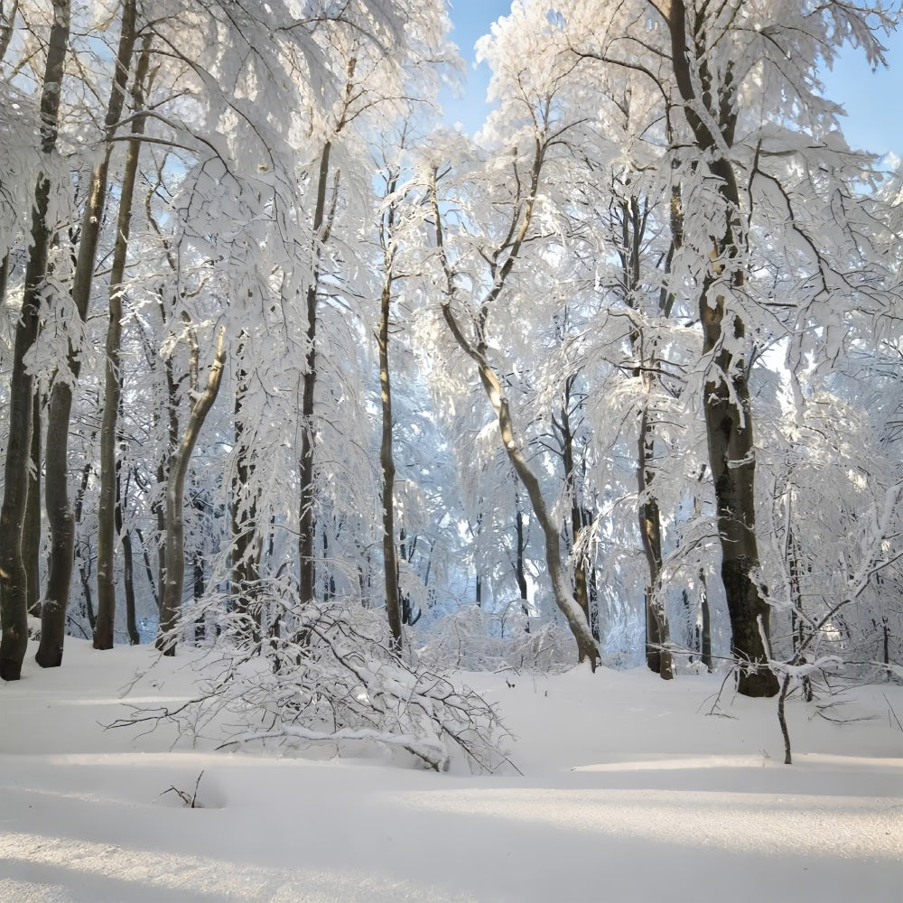 Winter Snowy Forest Wonderland Photography Backdrop UK BRP9-220