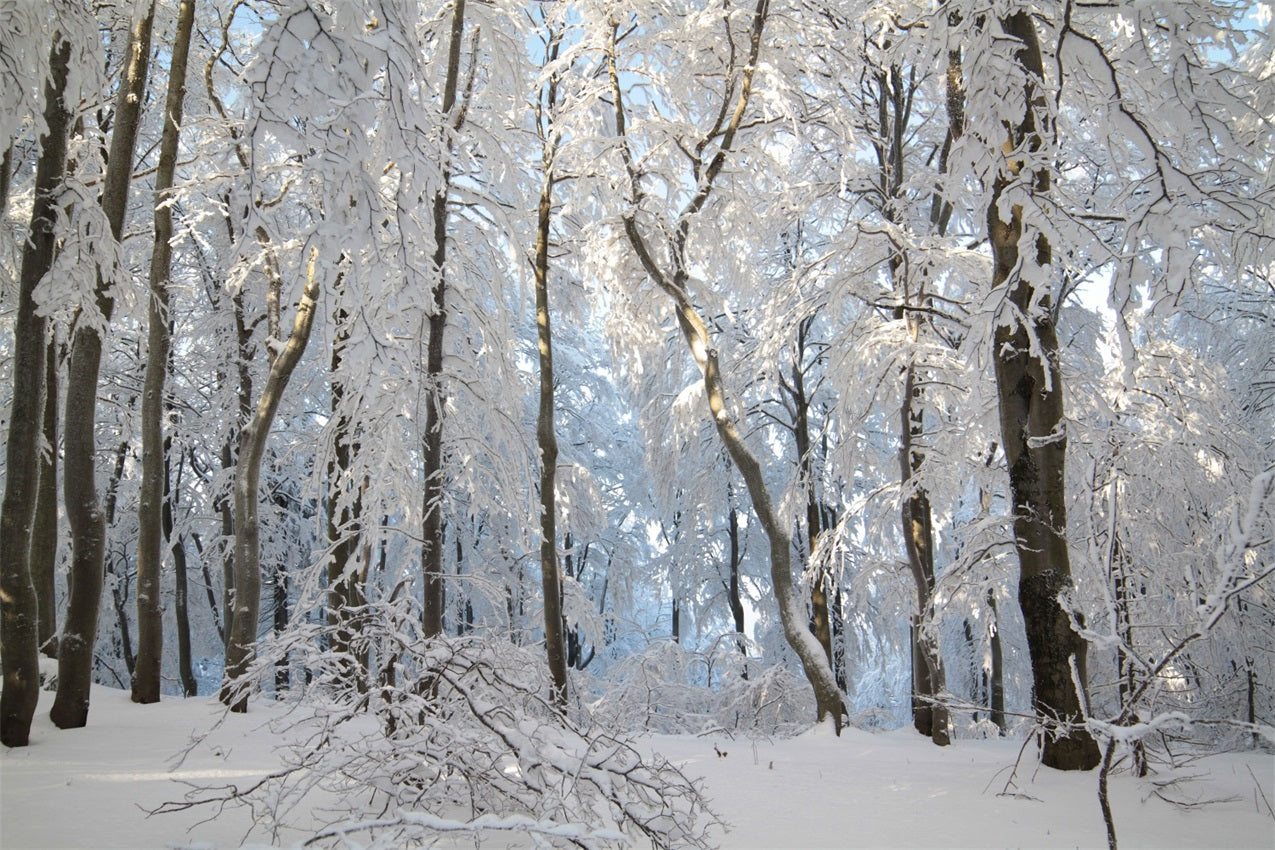 Winter Snowy Forest Wonderland Photography Backdrop UK BRP9-220