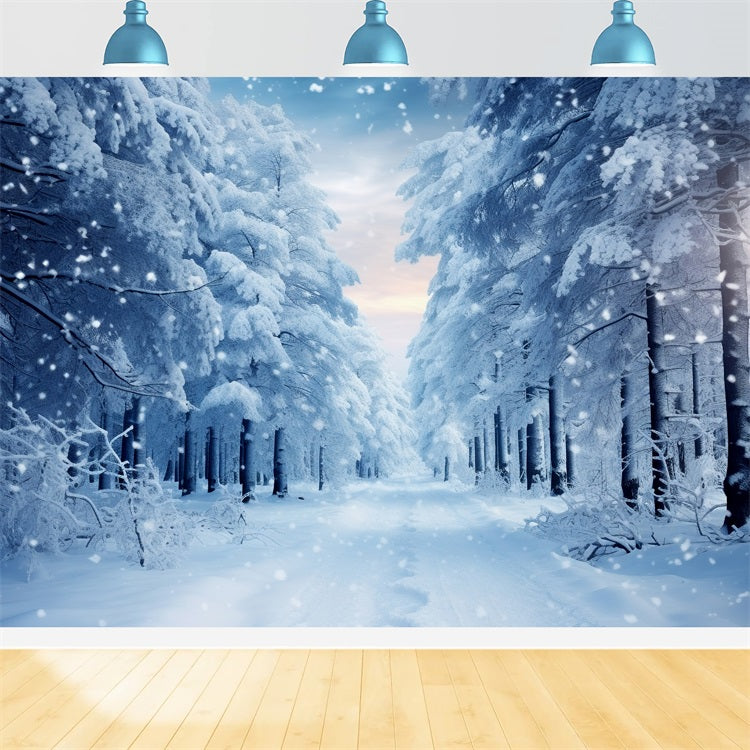 Winter Walk Through Snowy Forest Path Backdrop UK BRP9-221