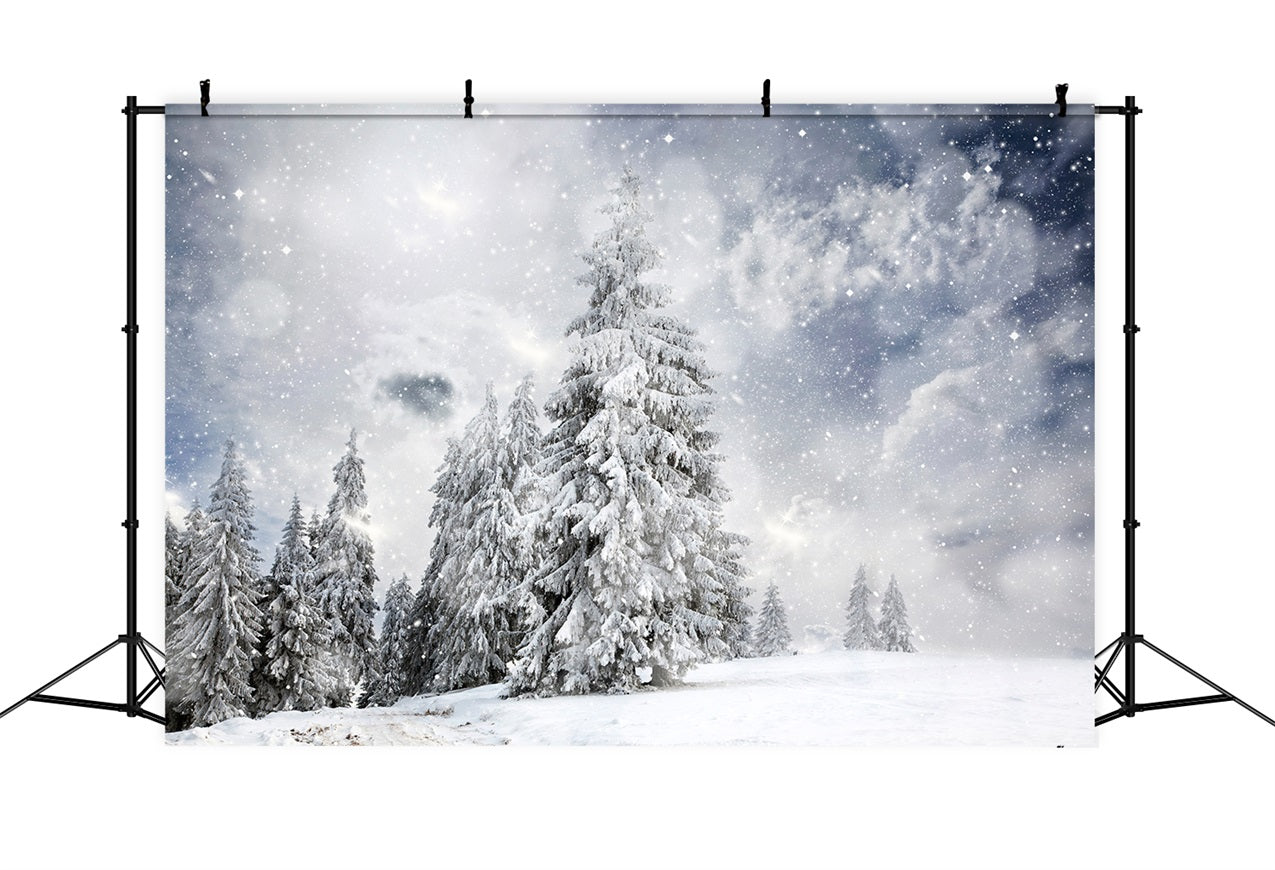 Winter Forest Under Starlit Sky Backdrop UK BRP9-224