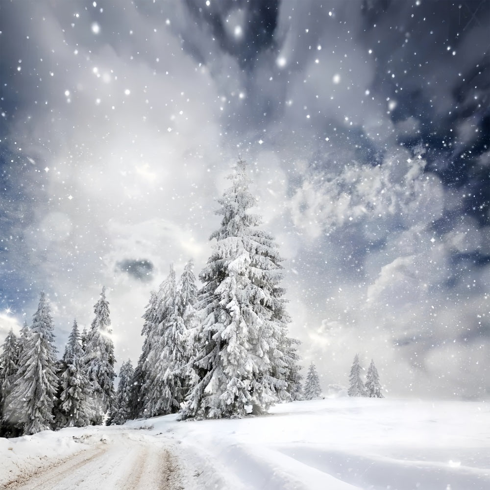 Winter Forest Under Starlit Sky Backdrop UK BRP9-224