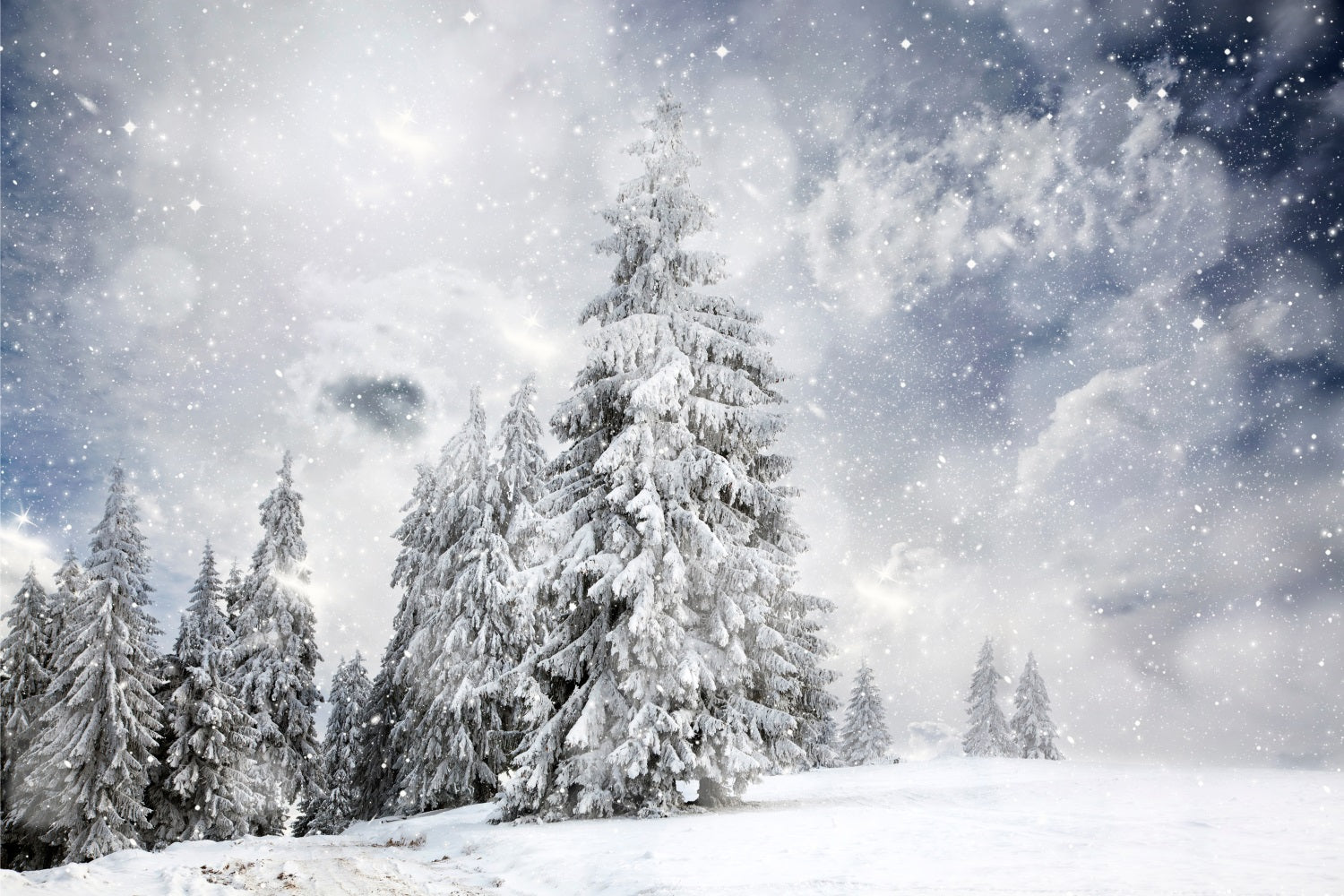 Winter Forest Under Starlit Sky Backdrop UK BRP9-224