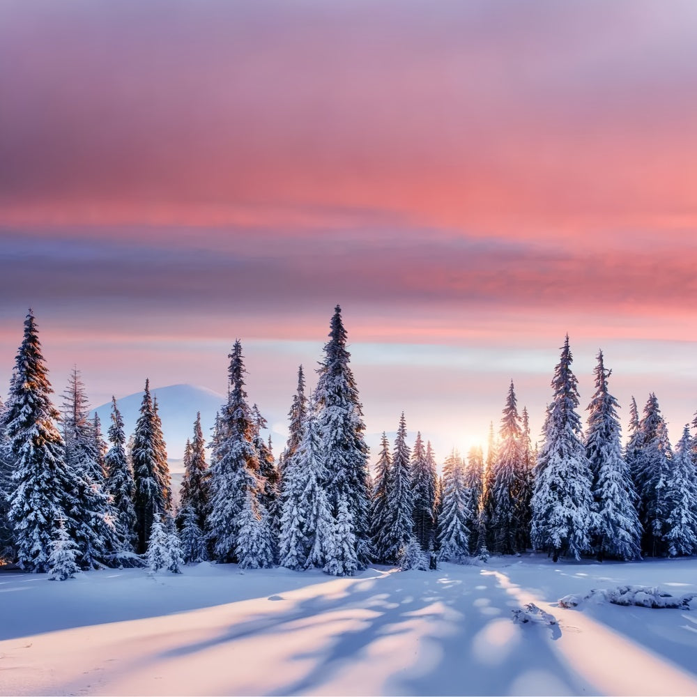 Winter Sunrise Over Snowy Forest Backdrop UK BRP9-226