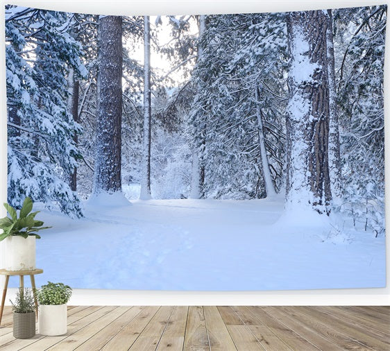 Snowy Woodland Trail Through Tall Pines Backdrop UK BRP9-227