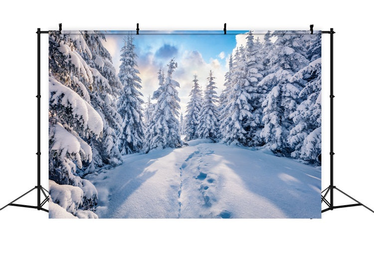 Winter Forest Clear Blue Sky Photography Backdrop UK BRP9-228