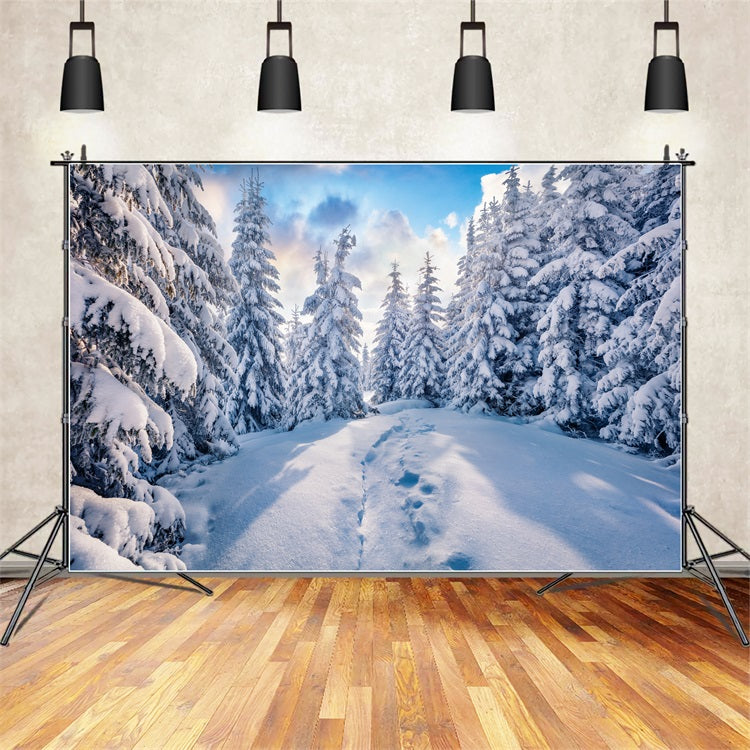 Winter Forest Clear Blue Sky Photography Backdrop UK BRP9-228