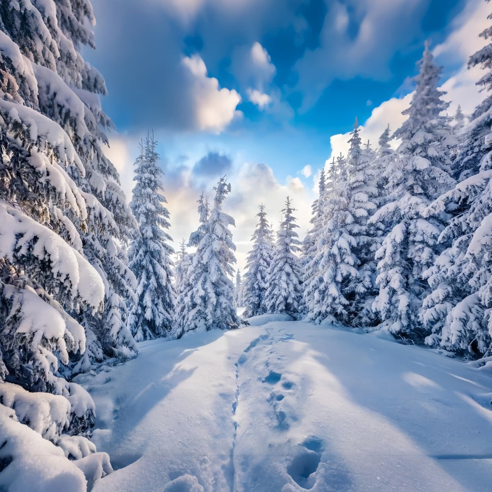 Winter Forest Clear Blue Sky Photography Backdrop UK BRP9-228