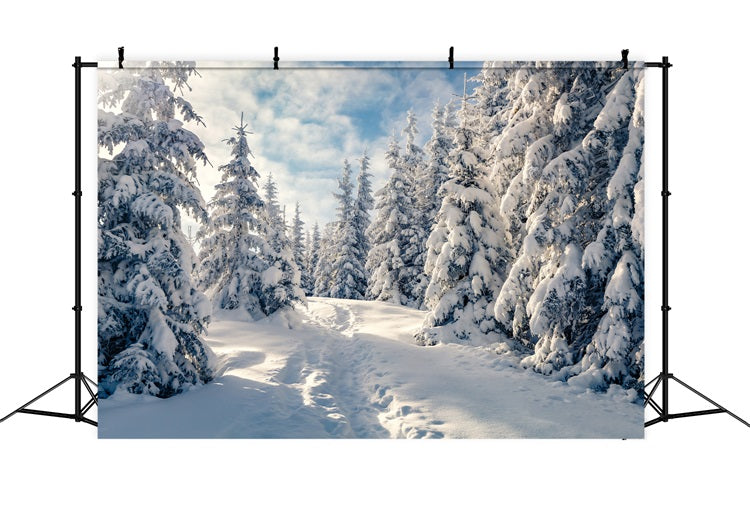 Winter Frosty Trees Clear Blue Sky Backdrop UK BRP9-229