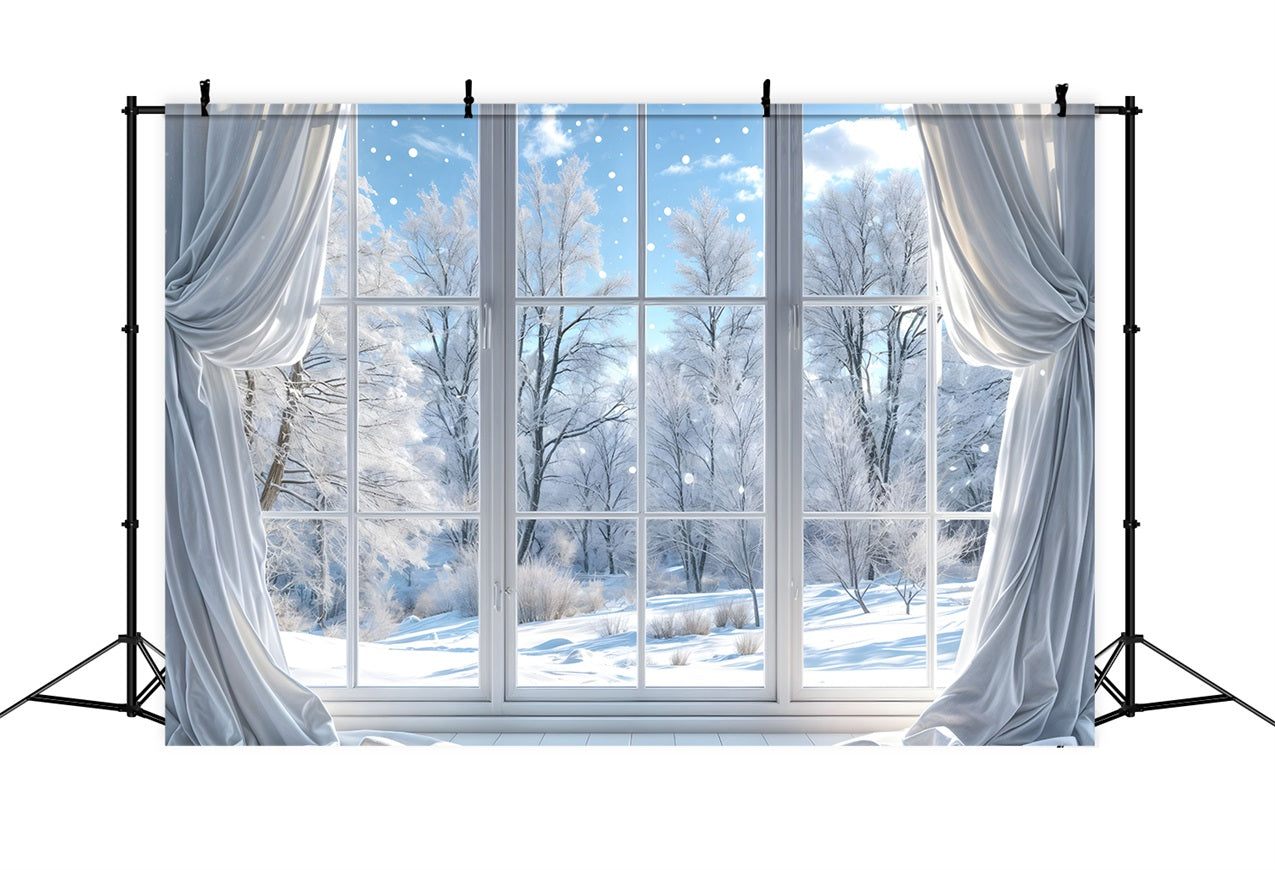 Clear Winter Day Through Glass Window Backdrop UK BRP9-232