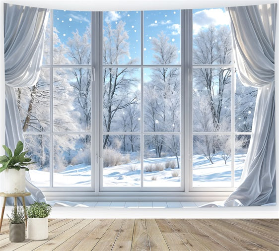 Clear Winter Day Through Glass Window Backdrop UK BRP9-232