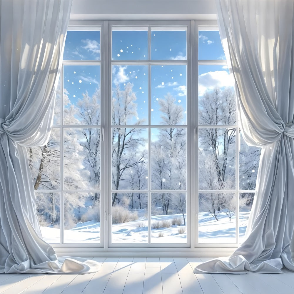 Clear Winter Day Through Glass Window Backdrop UK BRP9-232