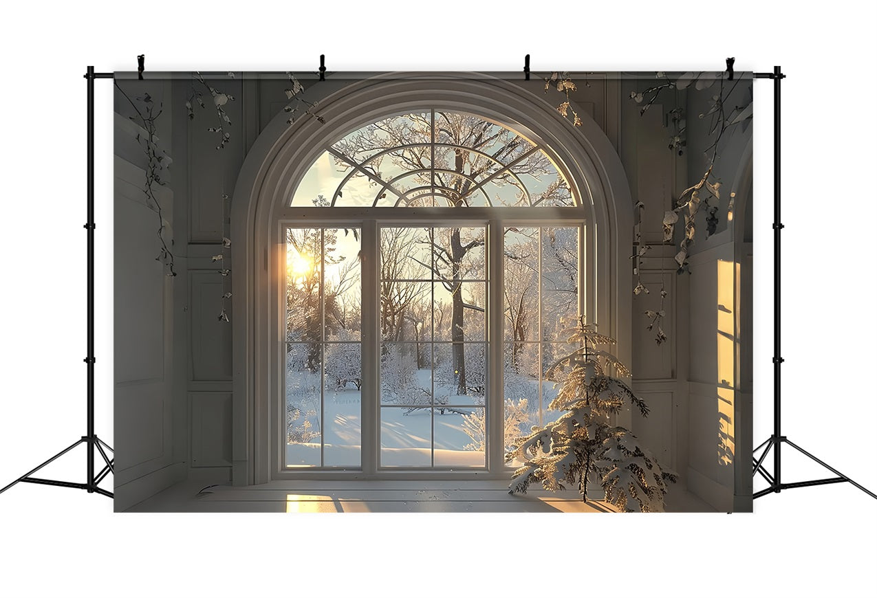 Winter Snow Trees Sunrise Window Scene Backdrop UK BRP9-236