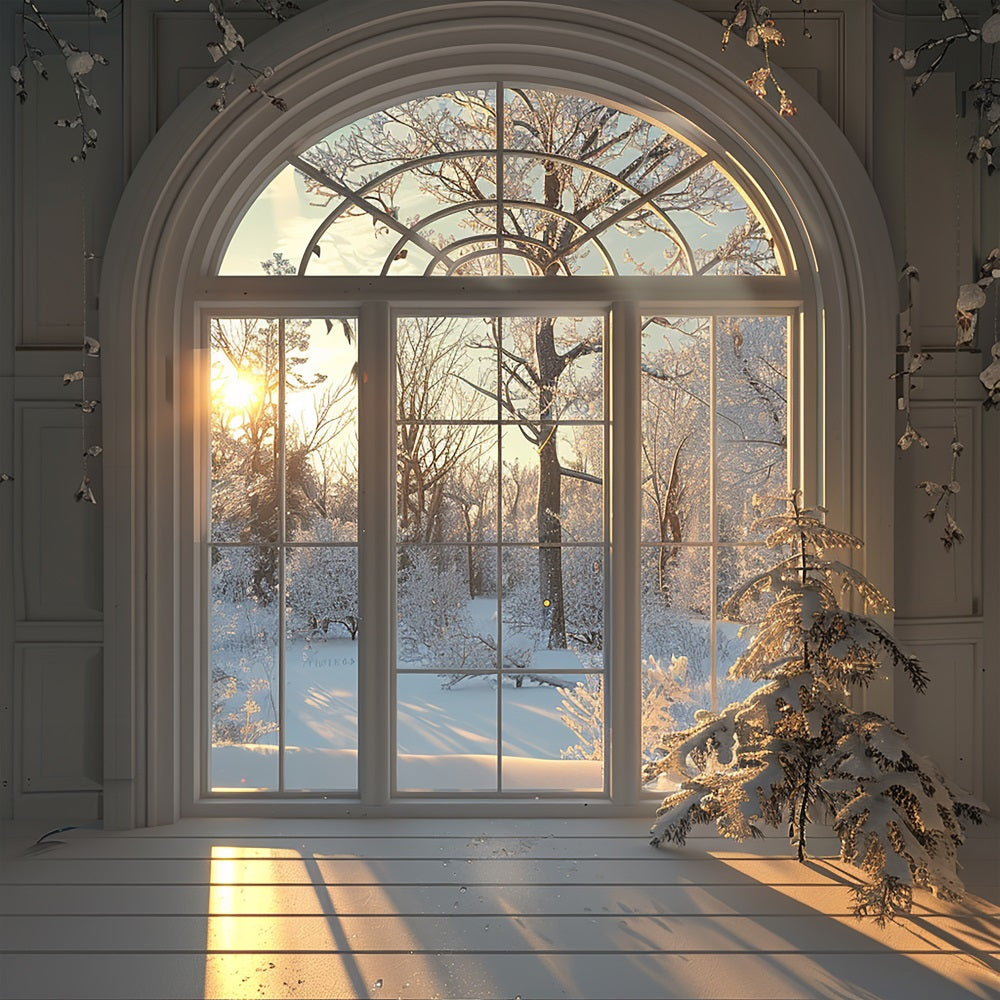 Winter Snow Trees Sunrise Window Scene Backdrop UK BRP9-236