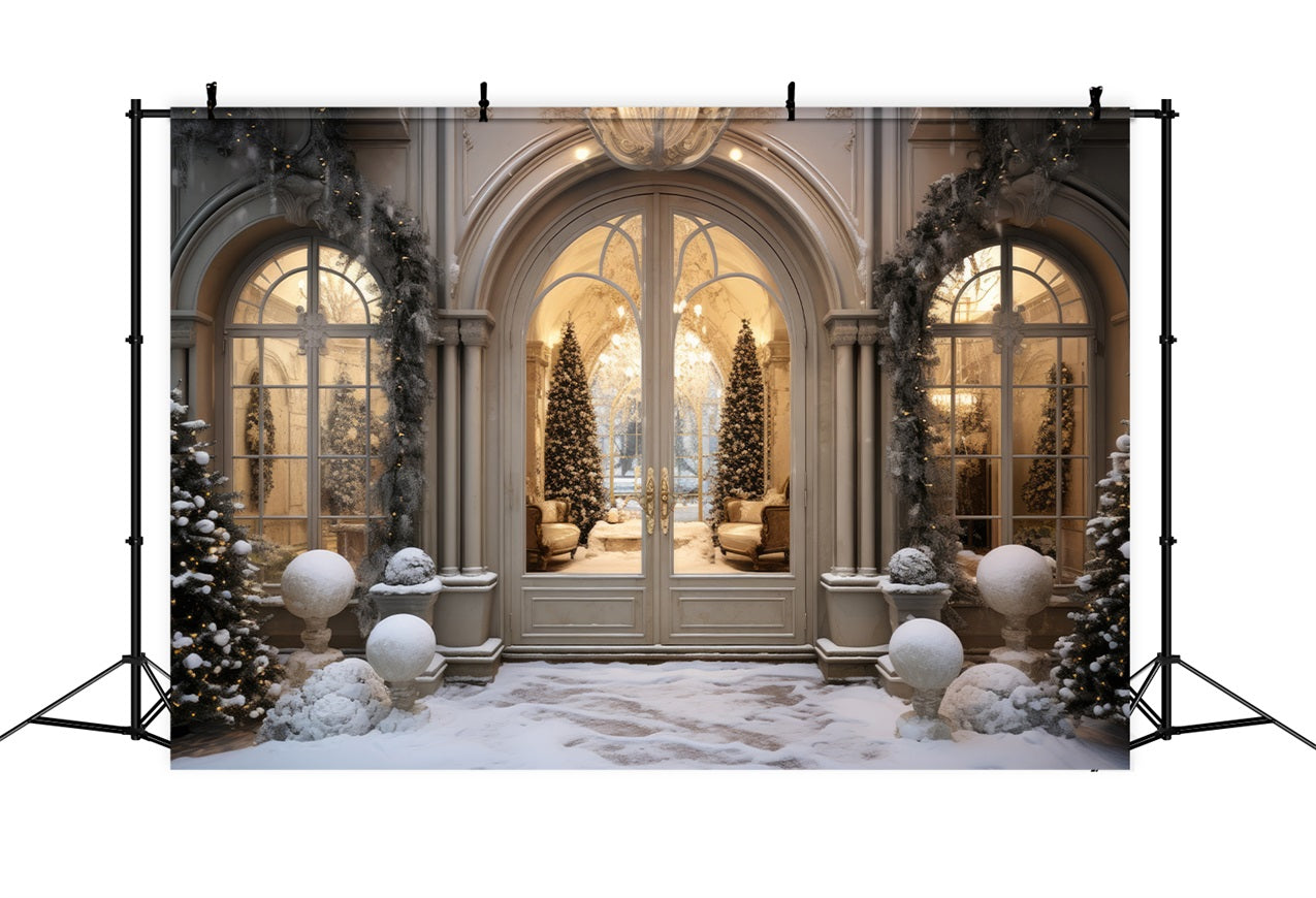 Luxurious Christmas Winter Snowy Entrance Backdrop UK BRP9-237