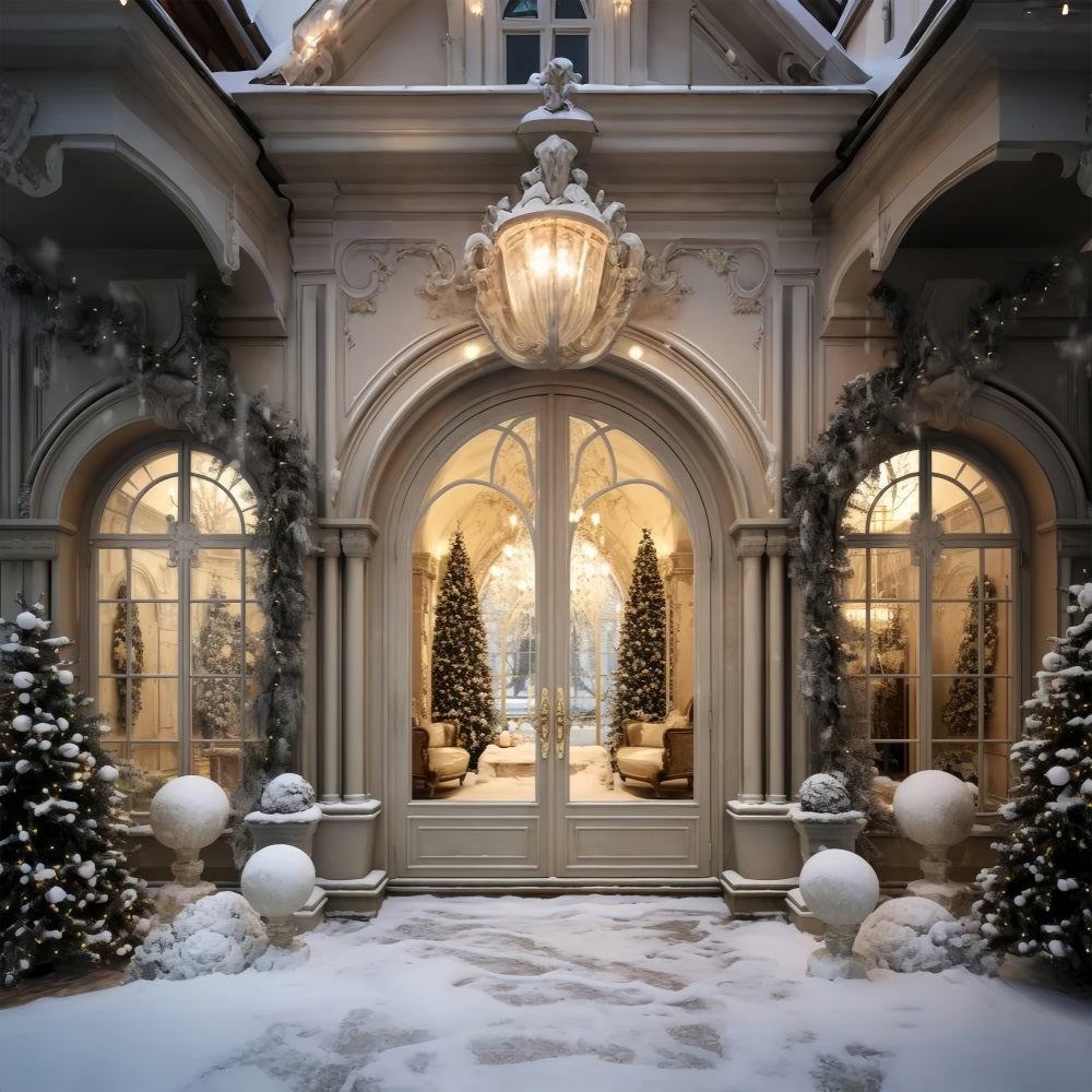 Luxurious Christmas Winter Snowy Entrance Backdrop UK BRP9-237