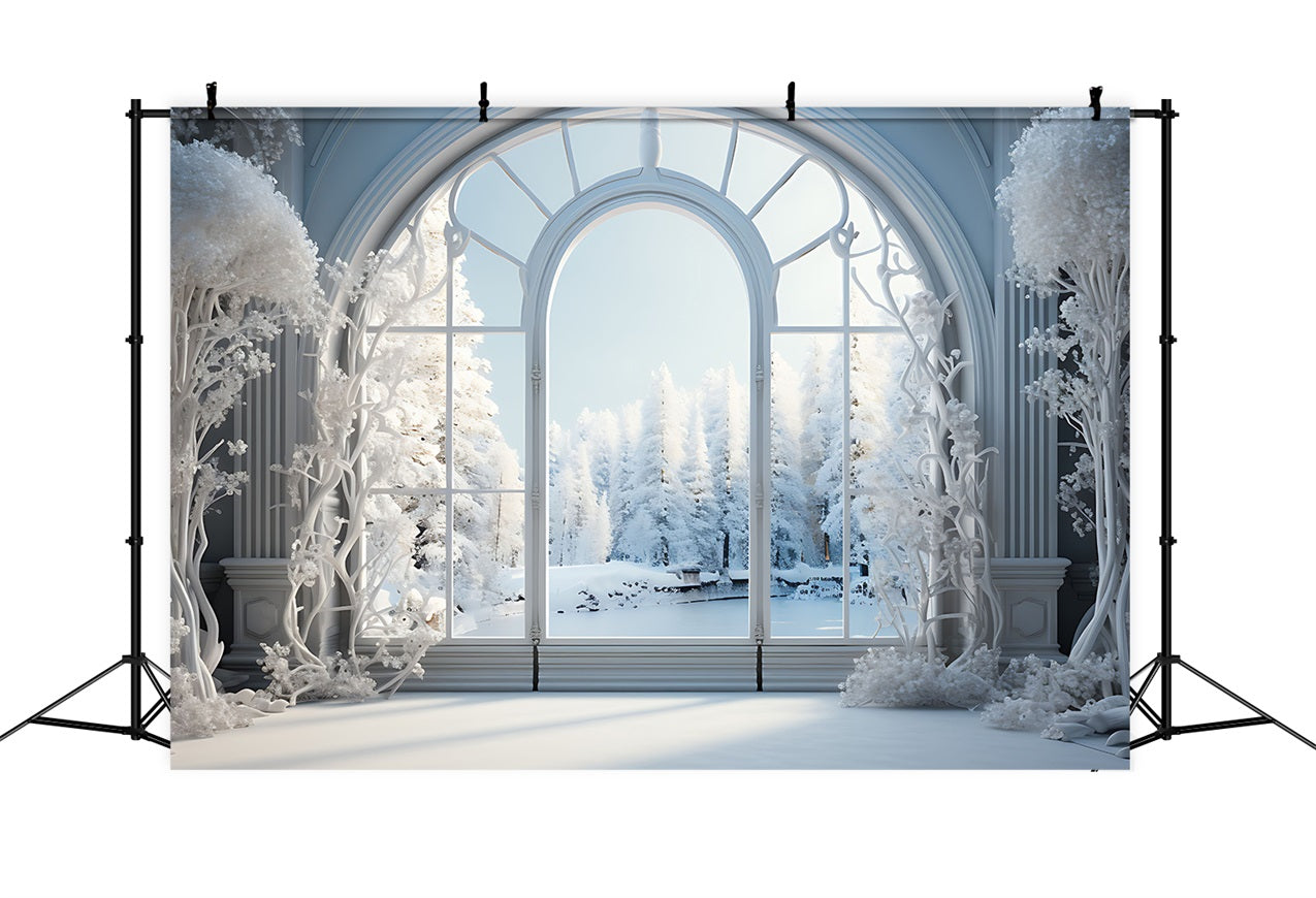 Frosty Winter Scene Grand Arched Window Backdrop UK BRP9-241