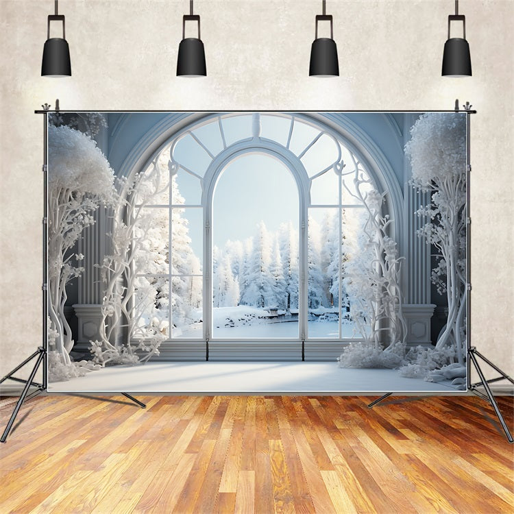 Frosty Winter Scene Grand Arched Window Backdrop UK BRP9-241