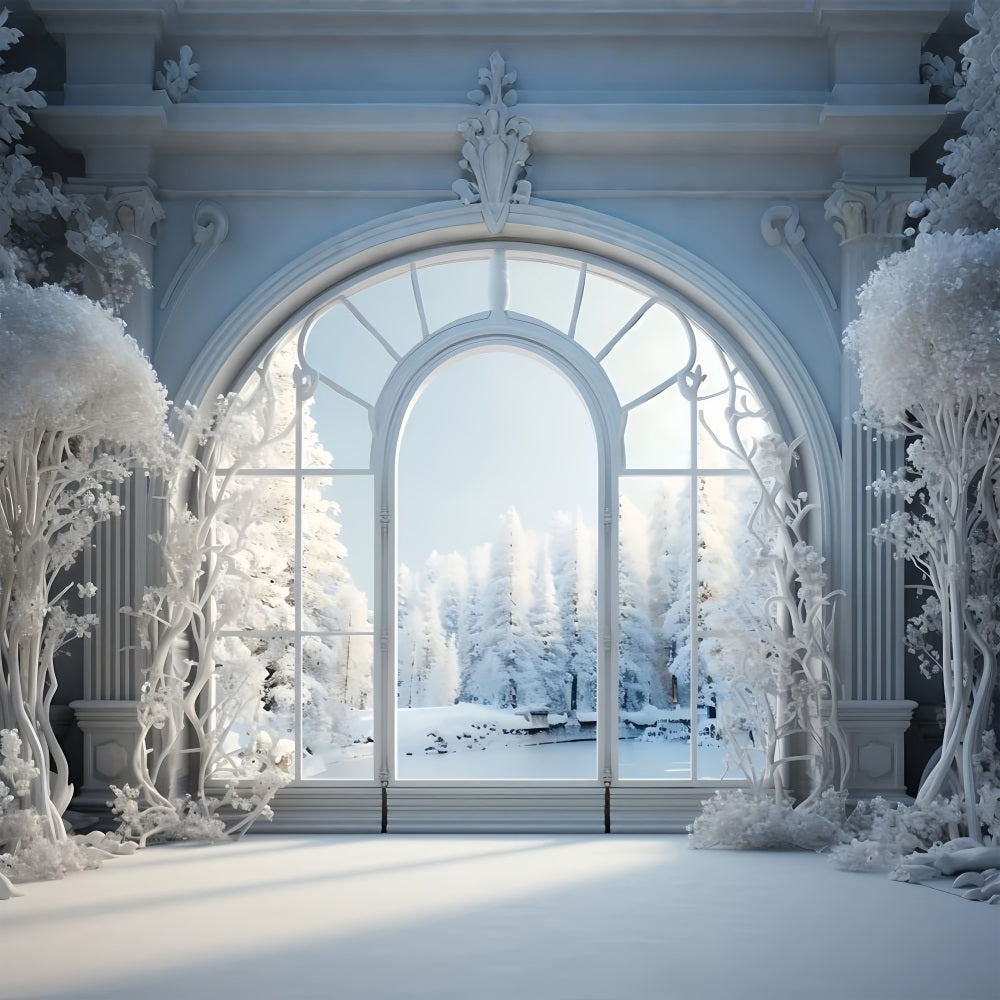 Frosty Winter Scene Grand Arched Window Backdrop UK BRP9-241