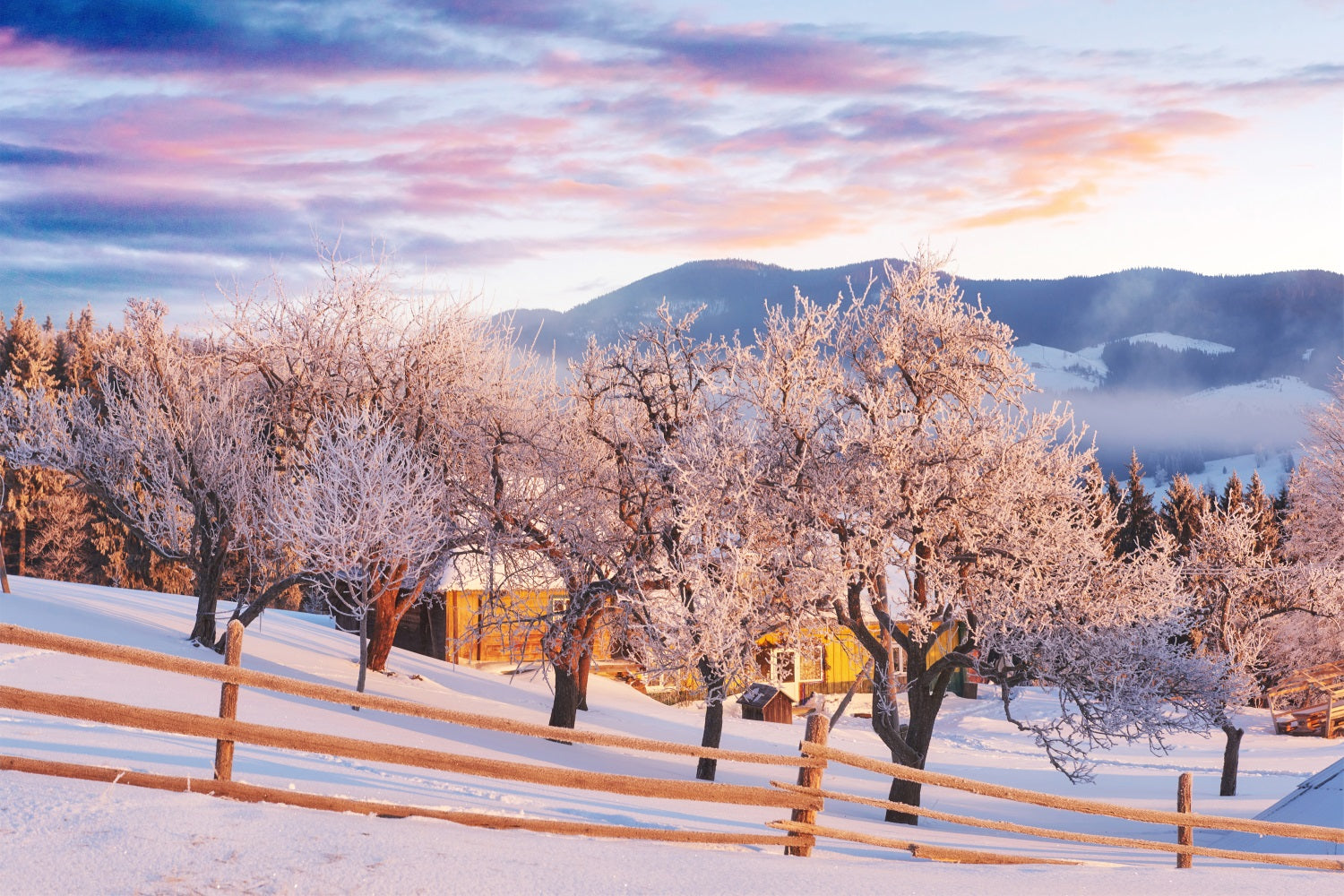 Pink Sky Winter Trees Farmhouse Photography Backdrop UK BRP9-282